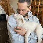 Prof dynamique, motivé et bienveillant pour vos enfants